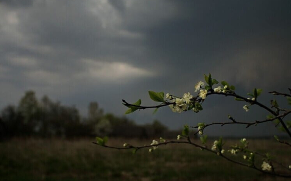 Чи накриють Україну перші весняні грози найближчим часом