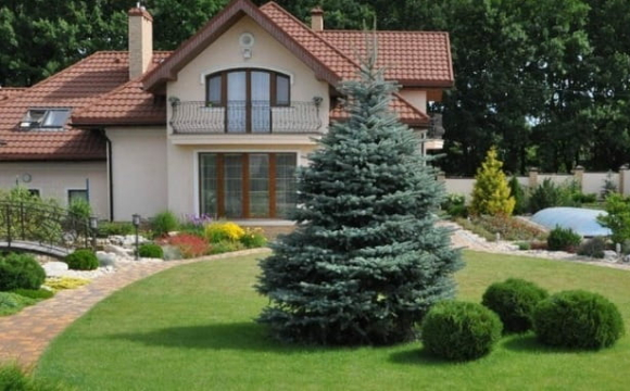 Ці дерева не варто садити біля будинку: що кажуть народні прикмети