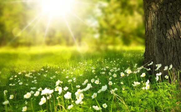 Невеликі розчарування попереду: гороскоп на 3 квітня для всіх знаків Зодіаку