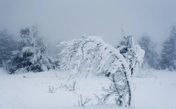Україну накриє небезпека взимку: синоптики шокували прогнозом