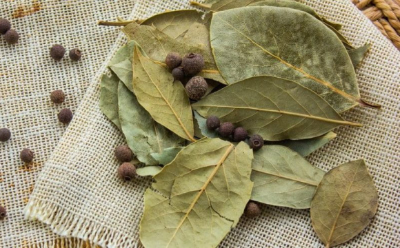 Українців закликали кожного вечора підпалювати лавровий лист