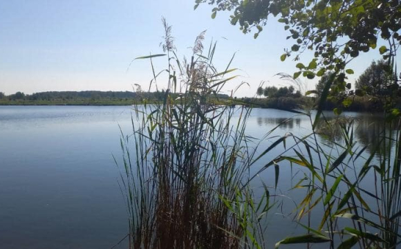 У селі на заході України можуть масово виселити жителів