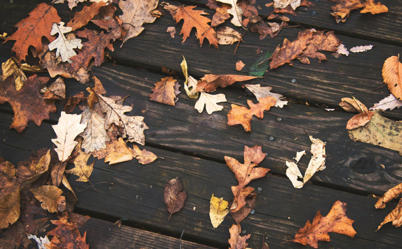 Погода сьогодні загадує прийдешню зиму: що заборонено робити 24 вересня