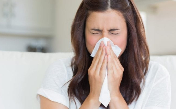 Сезонна алергія: графік цвітіння алергенних рослин в Україні