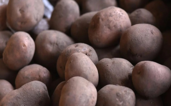 Ціни на картоплю суттєво змінилися: що відбувається на ринку
