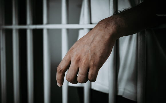 Власників котів і собак можуть посадити у в’язницю
