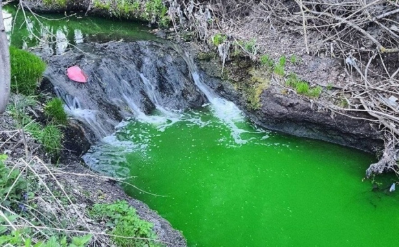 На заході України зафіксували неприродне явище