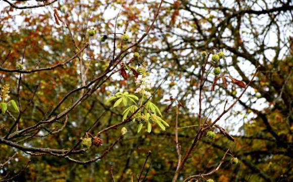 В Україні зафіксували справжню аномалію