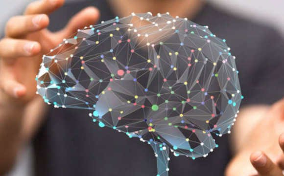 Які 5 речей вбивають наш мозок щодня