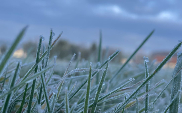 Чи будуть сильні заморозки в Україні у травні