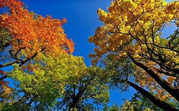 Якою буде погода в Україні у вересні