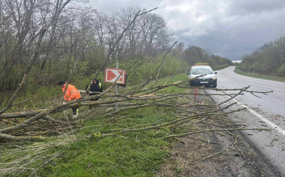 Вітер наробив лиха на Волині: деталі 