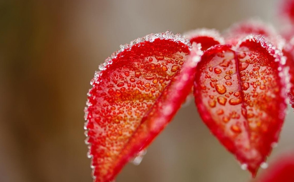 За яку роботу не можна братися 23 жовтня