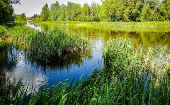 В Україні вводять «сезон тиші» вже з 1 квітня: що це означає