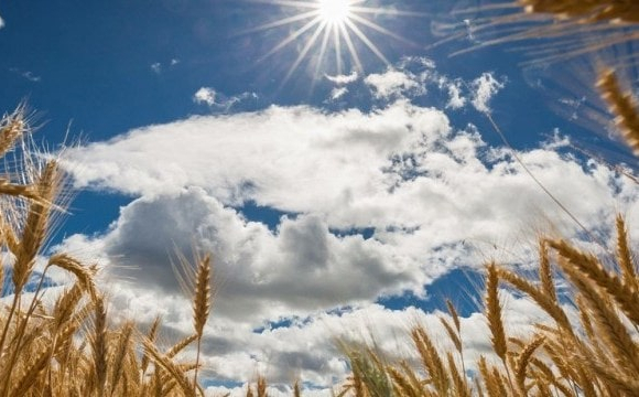 Європу накрила аномальна спека: дістанеться й Україні