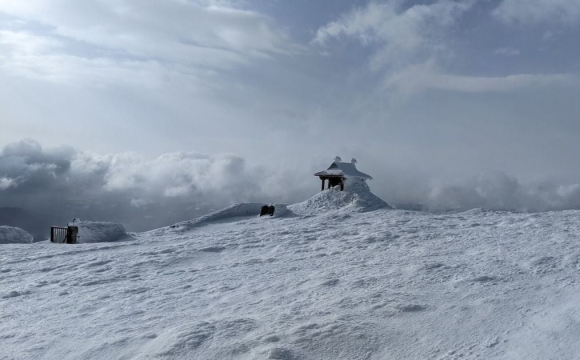 Захід України накрила справжня зима зі снігом і морозом