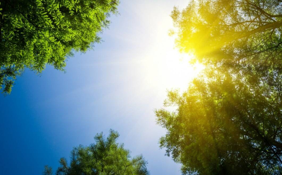 На Волині зафіксували новий температурний рекод