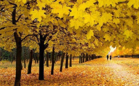 Коли в Україну повернеться осіннє тепло: названо дати