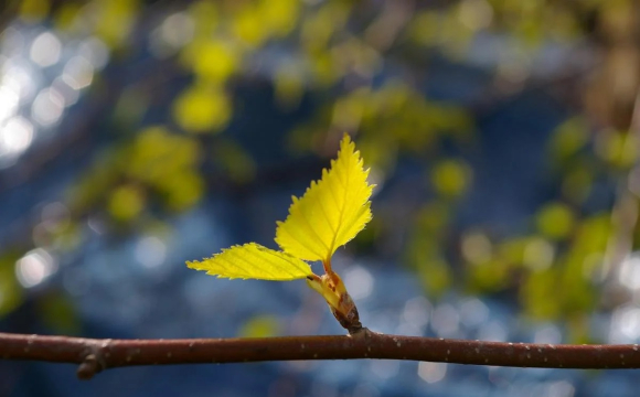 Україну накриє 12 градусів тепла