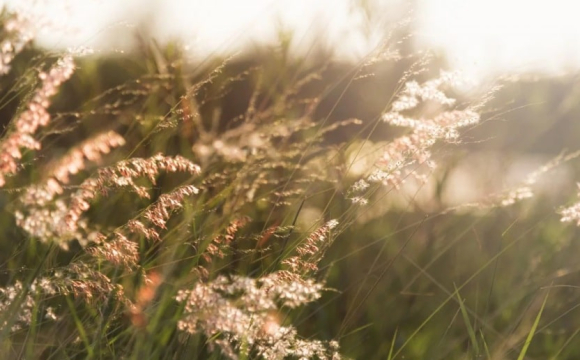Дата пов'язана з особливими традиціями: яке церковне свято 19 вересня