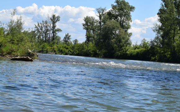 У річці на кордоні Угорщиною знайшли тіло чоловіка