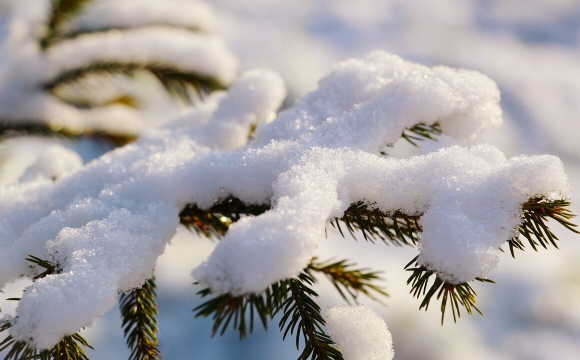 Перший сніг розкаже, якою буде зима