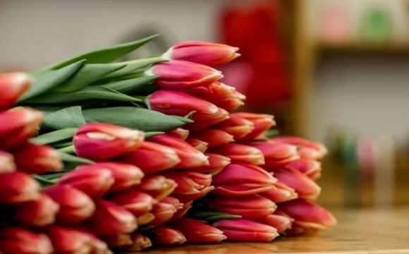 В Україні різко подорожчали квіти перед 8 березня
