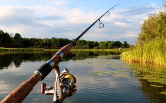 Яку рибу можна ловити без обмежень у серпні: повний перелік