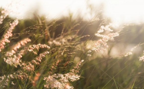 День пов'язують з особливими обрядами і прикметами: яке свято 9 вересня