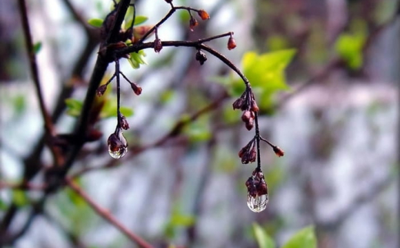 Стало відомо, якою буде погода на Волині цього тижня