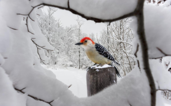 Сьогодні день суворих заборон: яке церковне свято 4 грудня