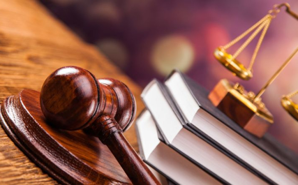 На Волині чоловік потрапив до суду через одну сосну