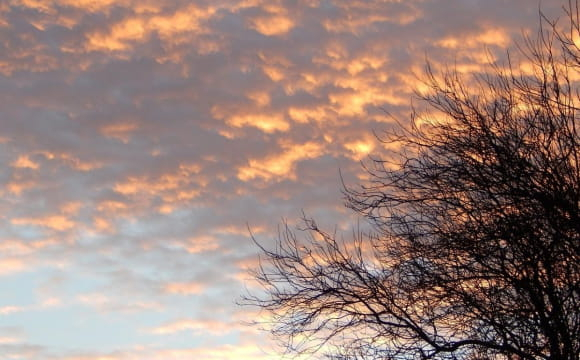 Весняне тепло відступає: українців очікує похолодання