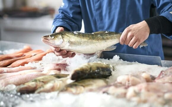 Українцям масово продають небезпечну мертву рибу