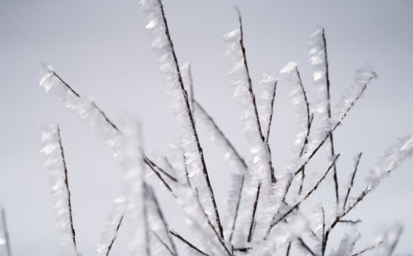 Українців попереджають про -20 градусів: названі дати