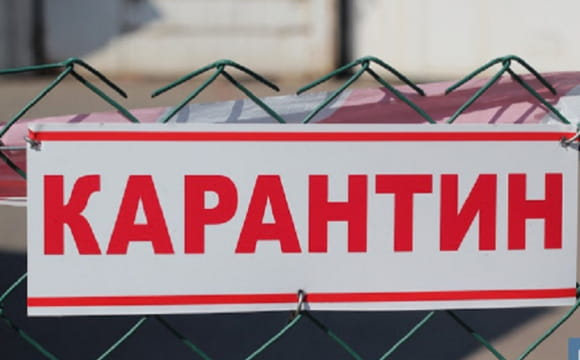 На Волині терміново запровадили карантин: що сталося