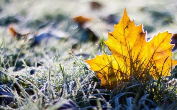 Яке свято відзначають українці 29 листопада: народні прикмети і традиції