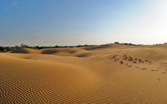 В Україні може з'явитися пустеля: коли це станеться