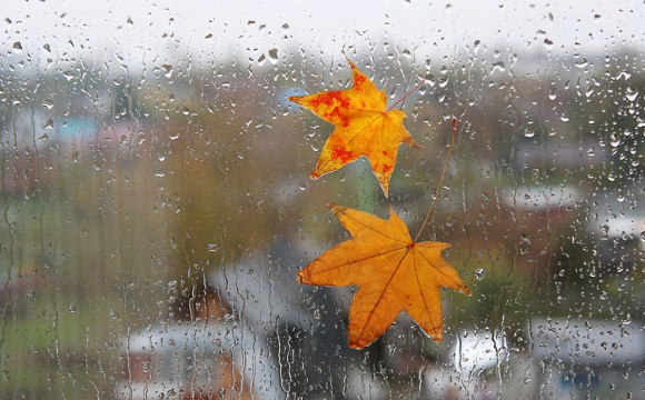 Коли в Україні розпочнеться справжня холодна осінь