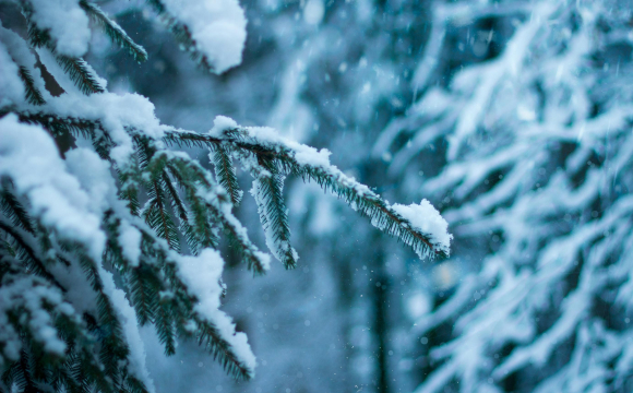 Якою буде погода в Україні на вихідних