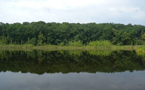 Де в Україні знаходиться найзагадковіше озеро, яке не має дна