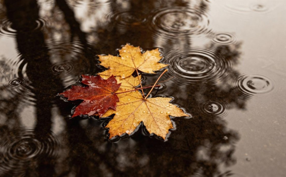 Заборони цього дня стосуються жінок: яке церковне свято 14 жовтня