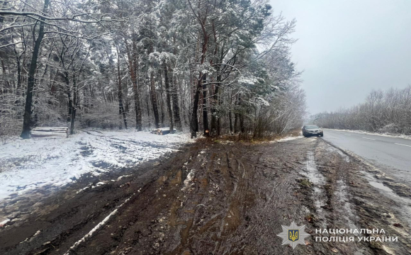 Не впорався з керуванням: 28-річний водій злетів з дороги і перекинувся, є постраждала