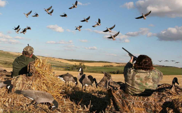 В Україні затвердили нові ліміти на полювання: скільки дичини можна добути за день