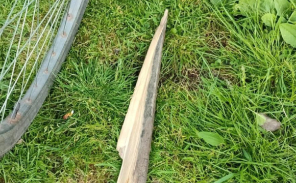 У селі дружина забила чоловіка до смерті дерев’яною палицею