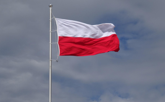 Поляки ще більше зненавиділи українців: що сталося