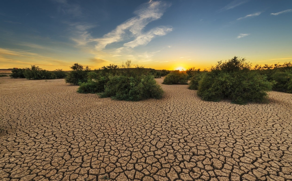 Частина України може перетворитися на пустелю?
