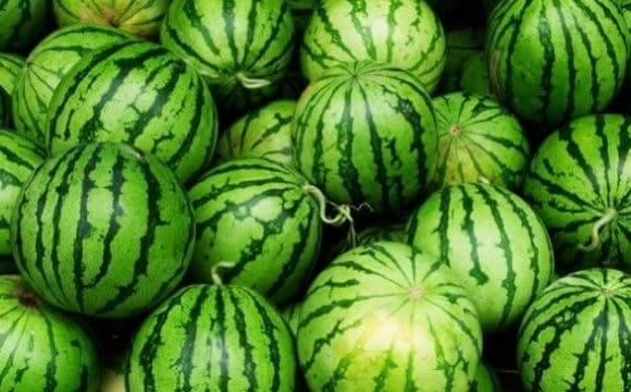 Чи варто купувати ранні кавуни вже зараз