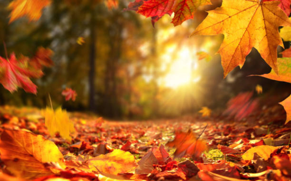 Чи буде ще тепло в Україні найближчими днями