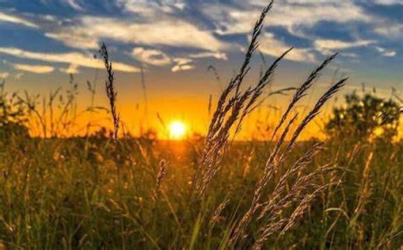 Яке свято відзначають українці 10 серпня: народні прикмети і традиції